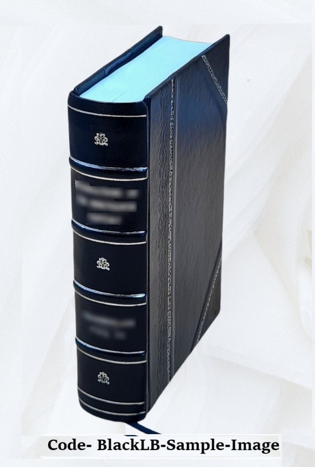 Fasti Ecclesi? Scotican?; The Succession Of Ministers In The Chu [Leather Bound]
