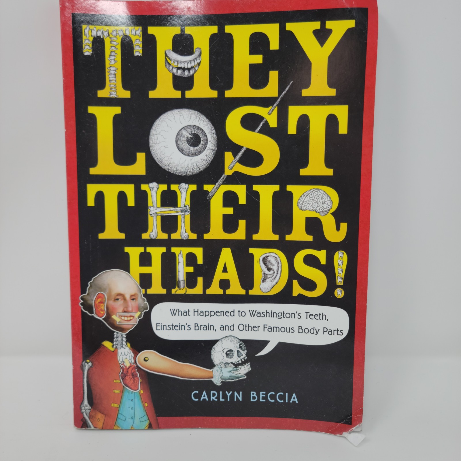 THEY LOST THEIR HEADS Book Carlyn Beccia 2018 Scholastic Paperback