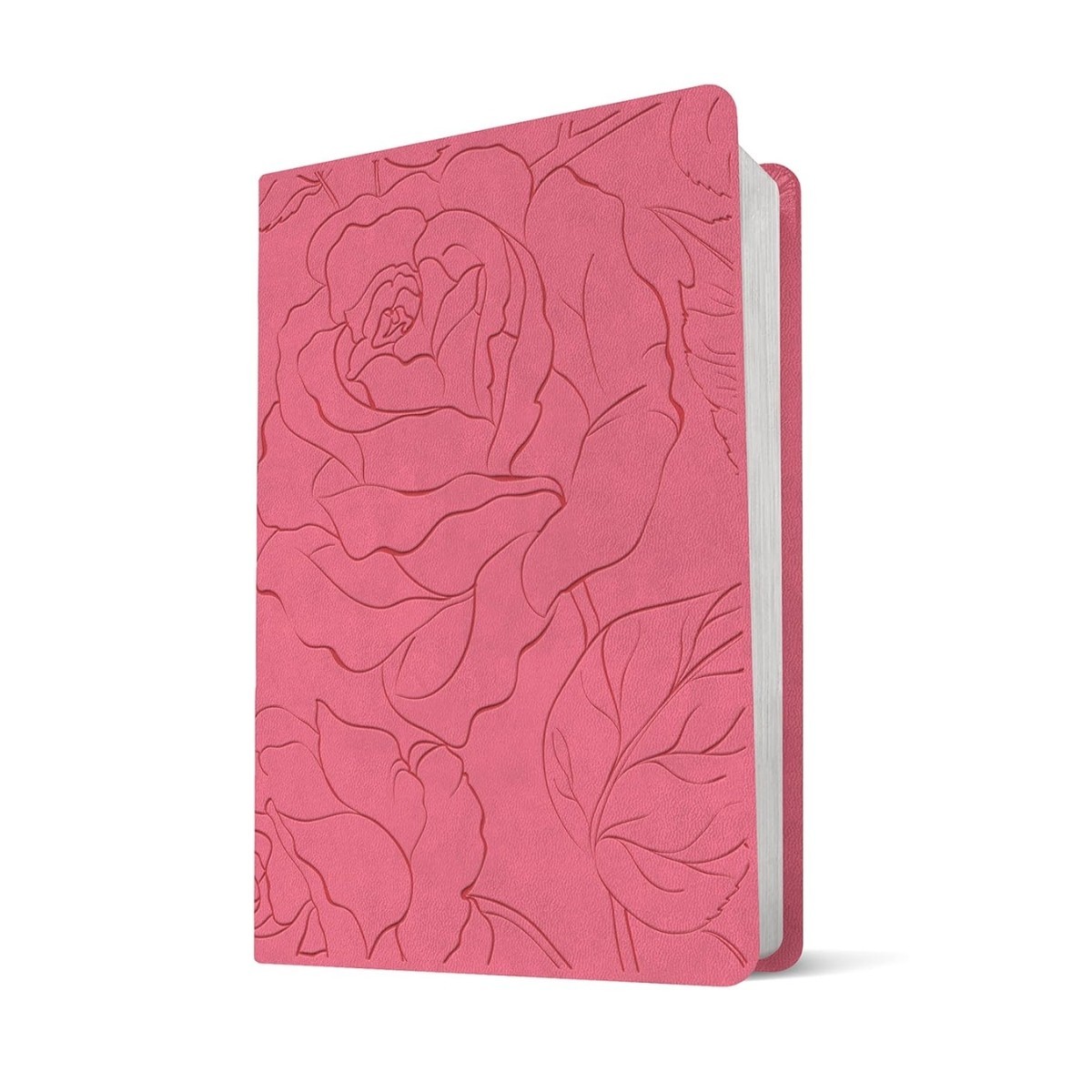 NLT Large Print Premium Value Thinline Bible, Filament Enabled