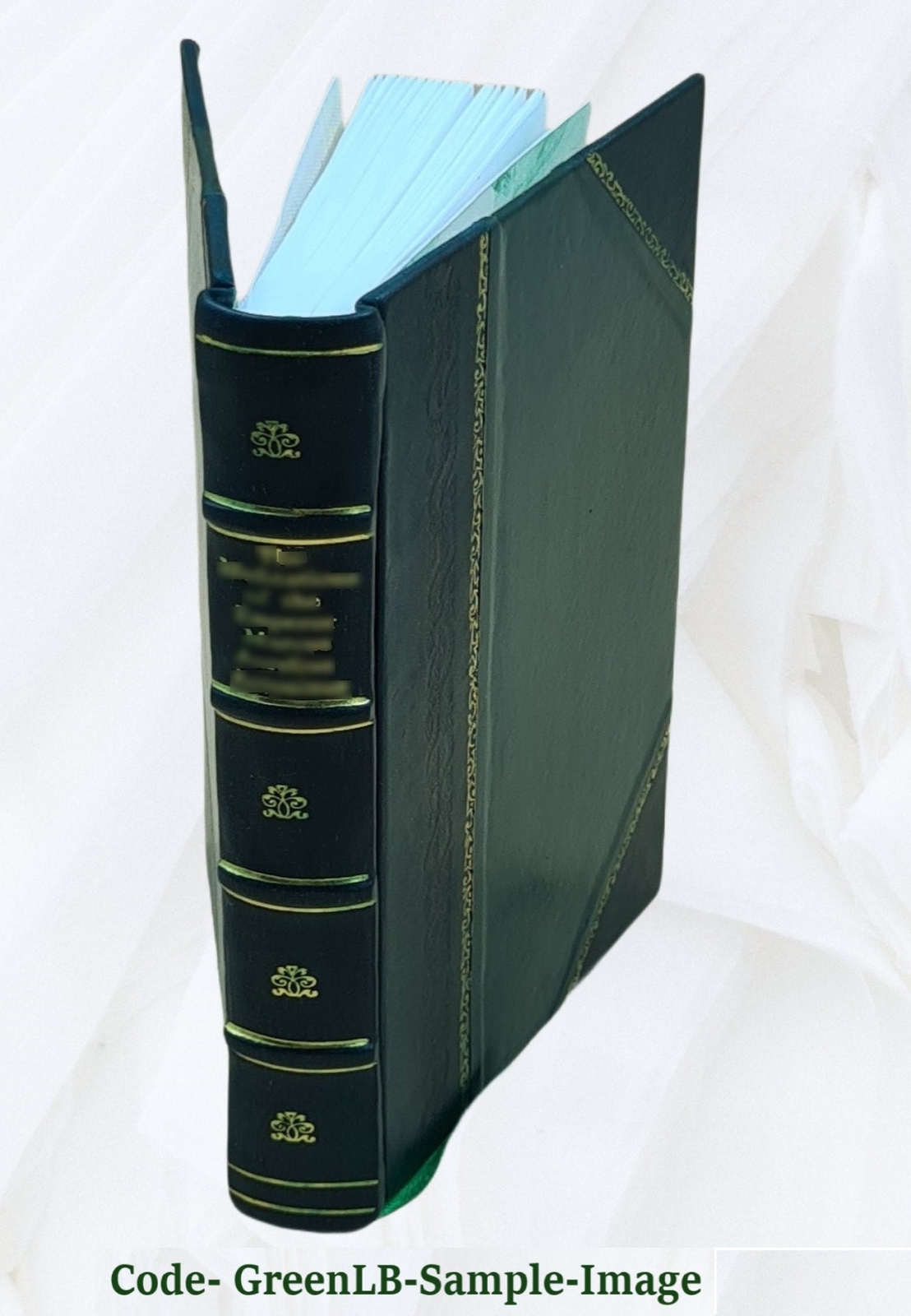 The Lady’S Manual Of Homeopathic Treatment In The Various Derang [Leather Bound]