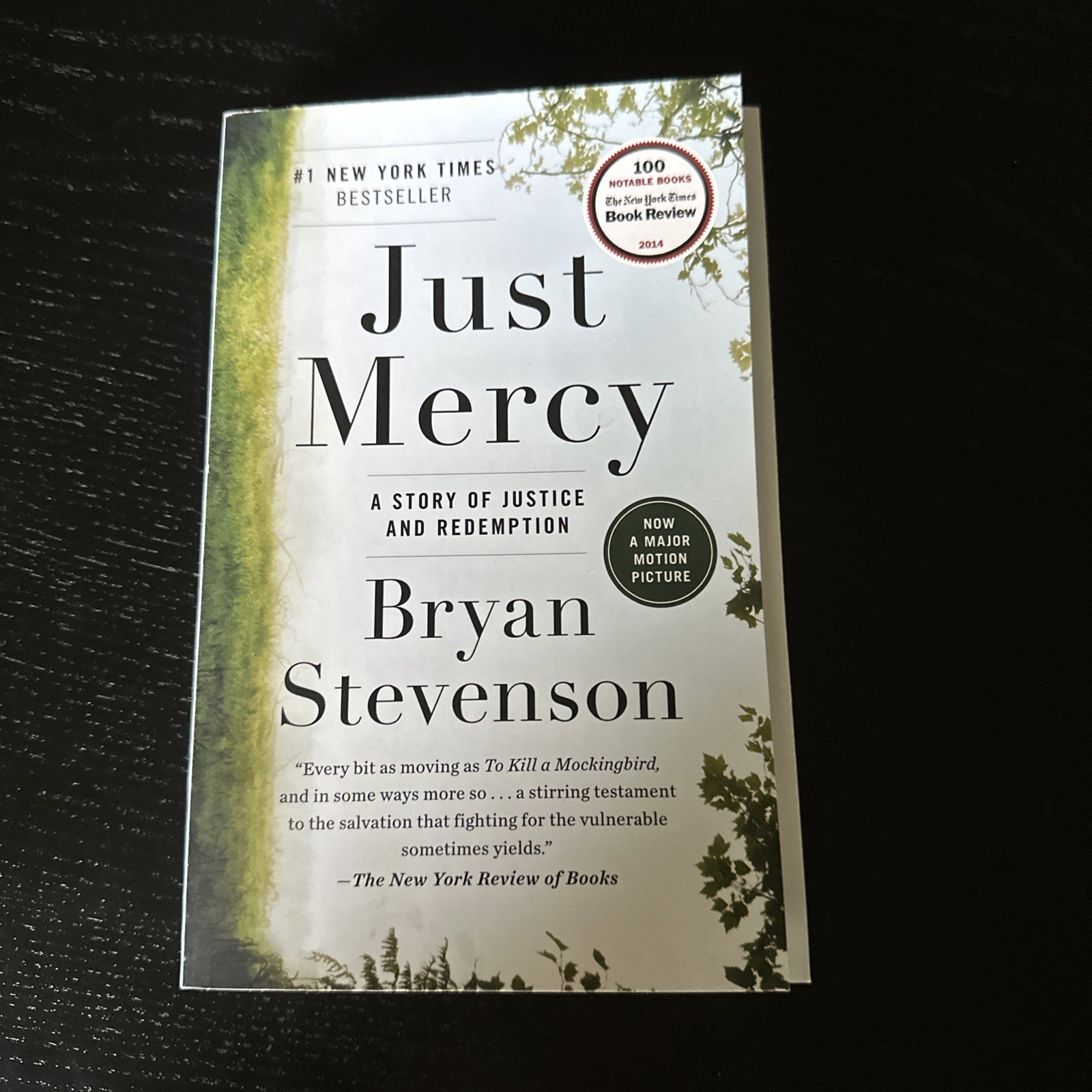 Just Mercy : A Story of Justice and Redemption by Bryan Stevenson (2015)