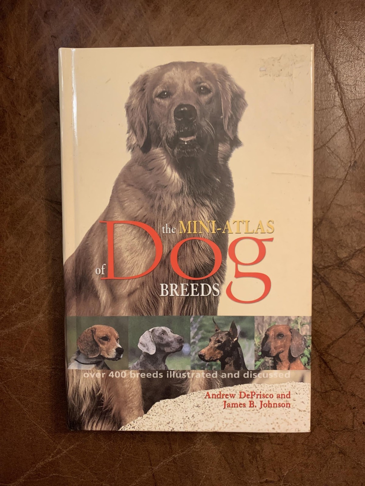 The Mini-Atlas of Dog Breeds