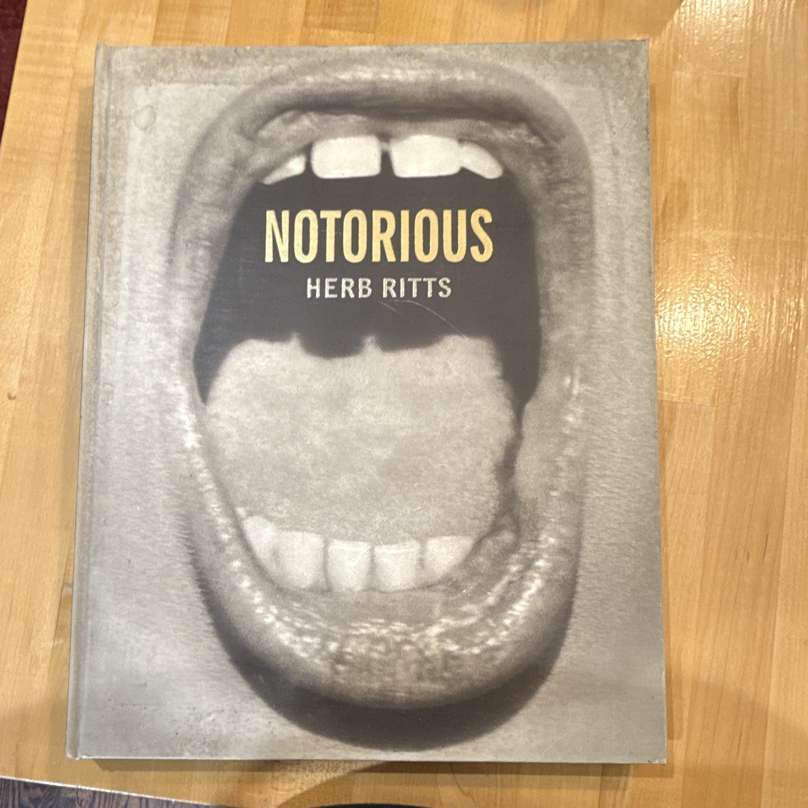 Notorious Herb Ritts Hardcover Photography Book Portrait Photography
