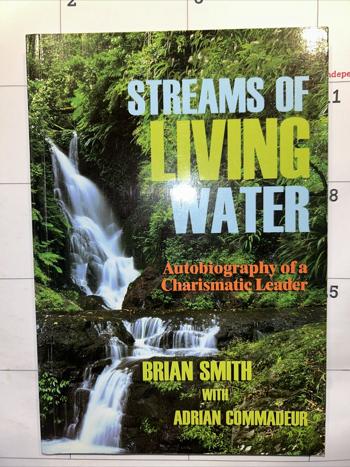 Streams of Living Water – Brian Smith – 2000 – 159 pages – Catholic Charismatic