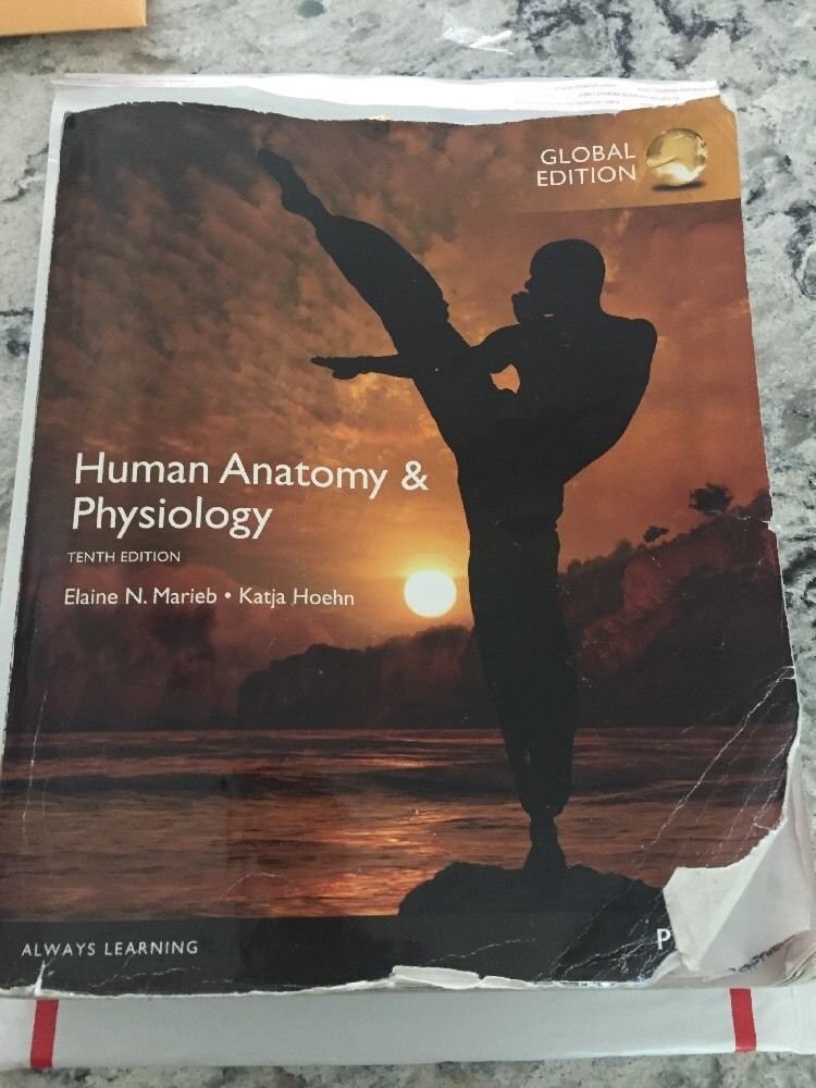 Human Anatomy & Physiology, Global Edition