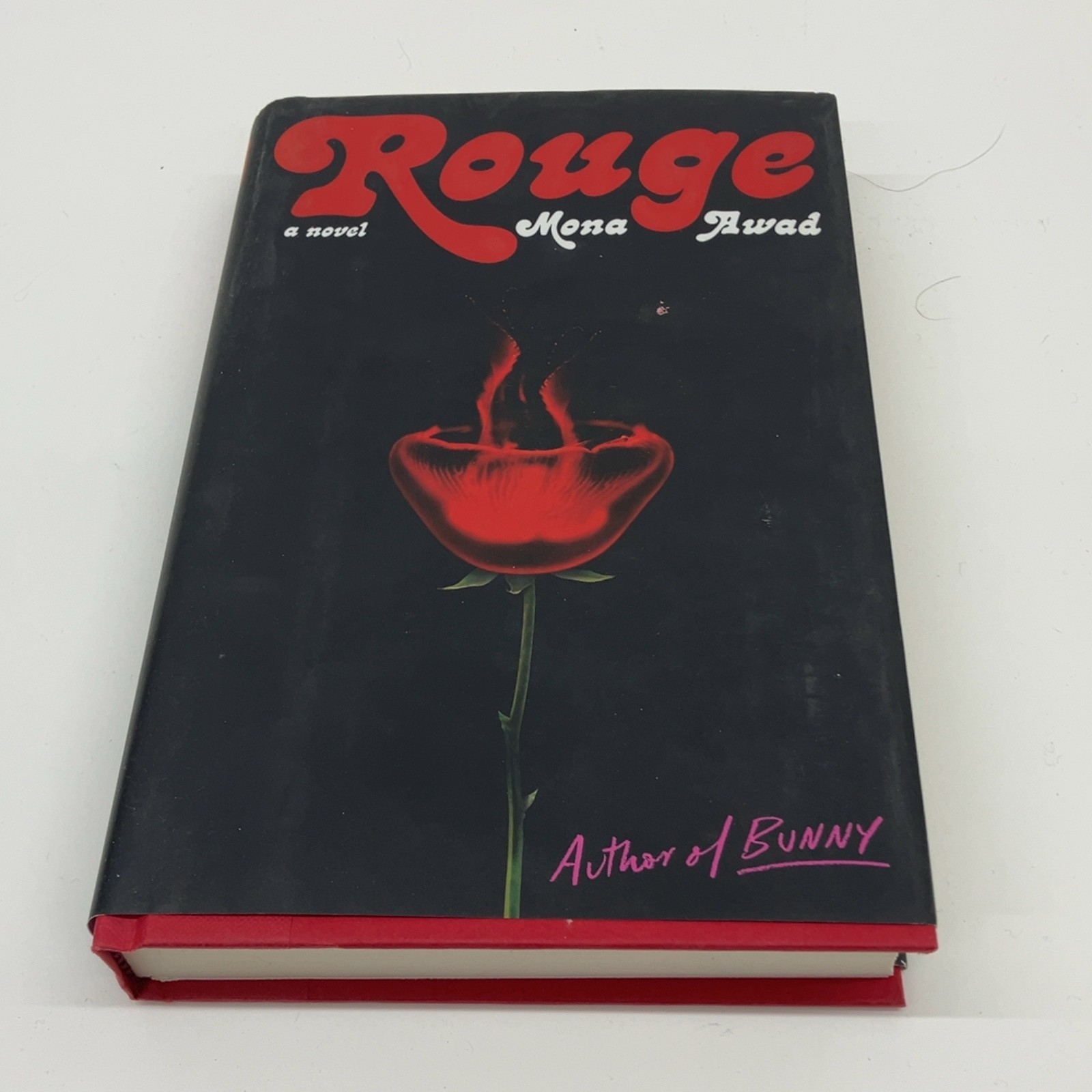Rouge A Novel Mona Awad Hardcover 2023 Gothic Fiction Horror
