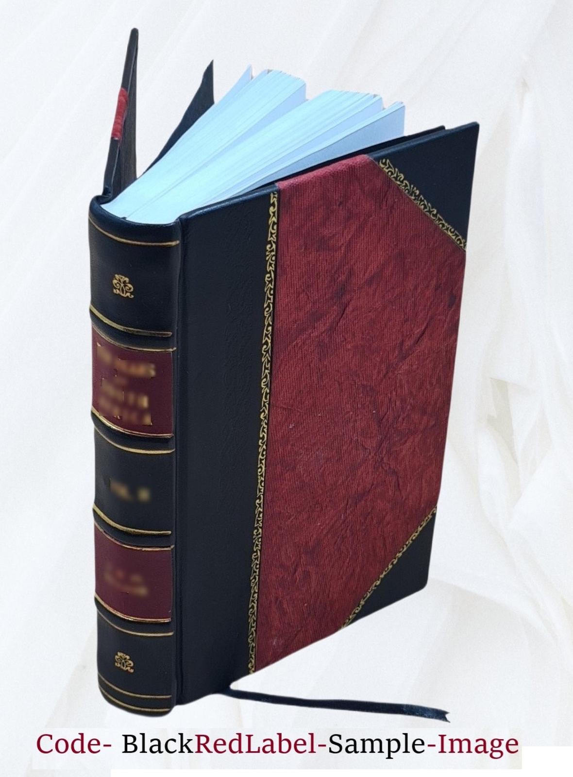 The Geographical Journal. V.53 No.1-6 1919. Volume 53,No.1-6 191 [Leather Bound]