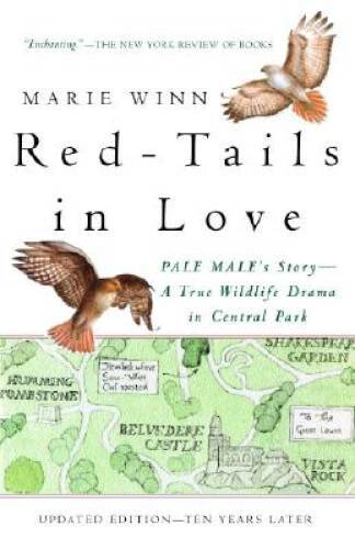 Red-Tails in Love: A Wildlife Drama in Central Park (Vintag – ACCEPTABLE