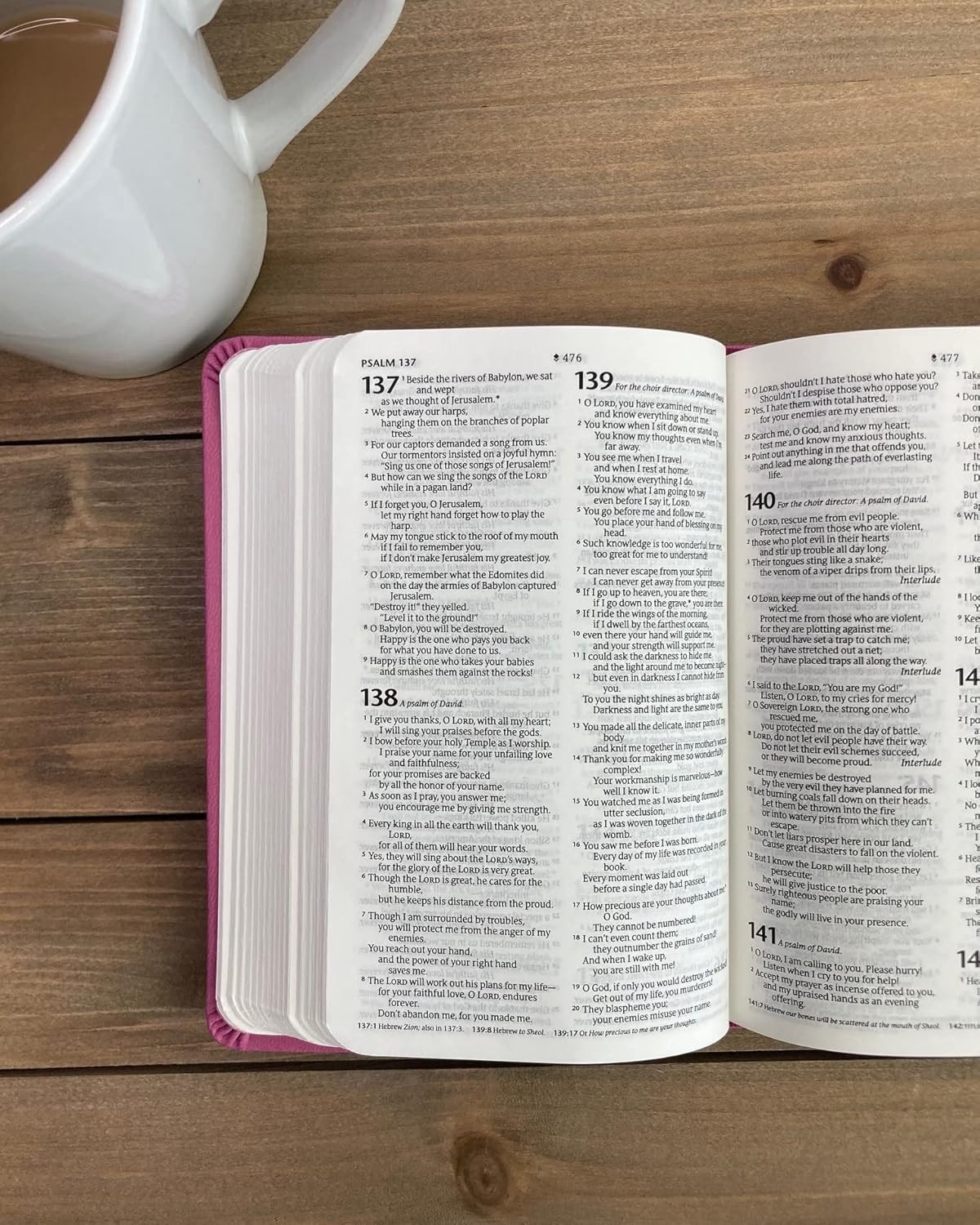 NLT Large Print Premium Value Thinline Bible, Filament Enabled