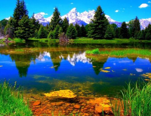 Aqui vai o título do Post